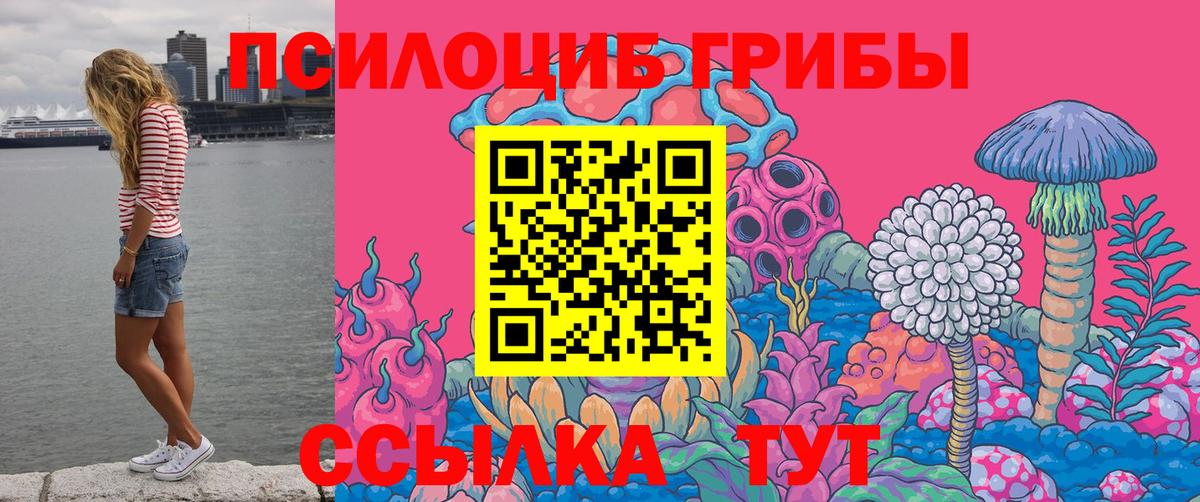 Галлюциногенные грибы мухоморы  Вход с VPN  сколько стоит  Галлюциногенные грибы Psilocybe  Ялуторовск 